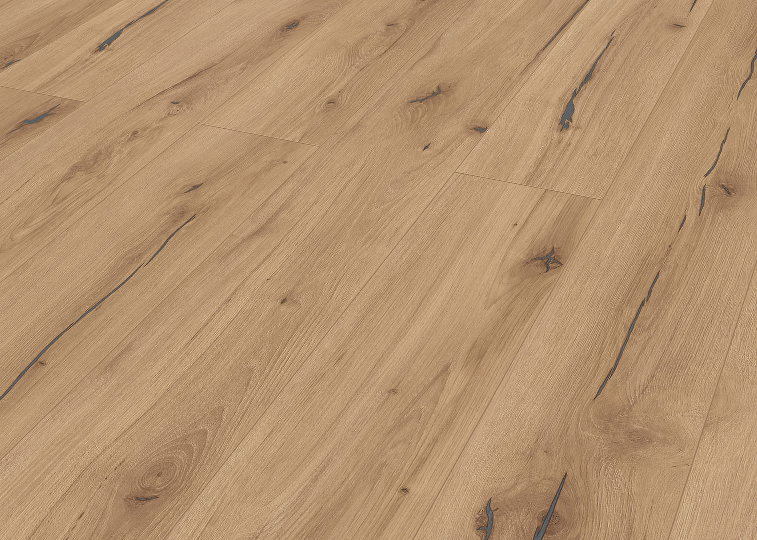 833-4 XL WR EIR Nerio