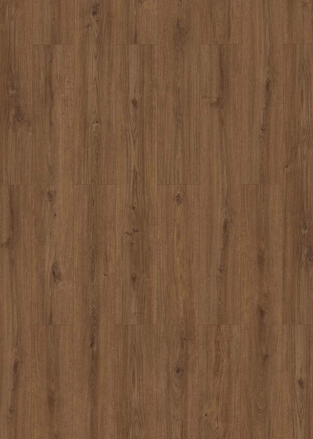 833-4 XL WR EIR Nora