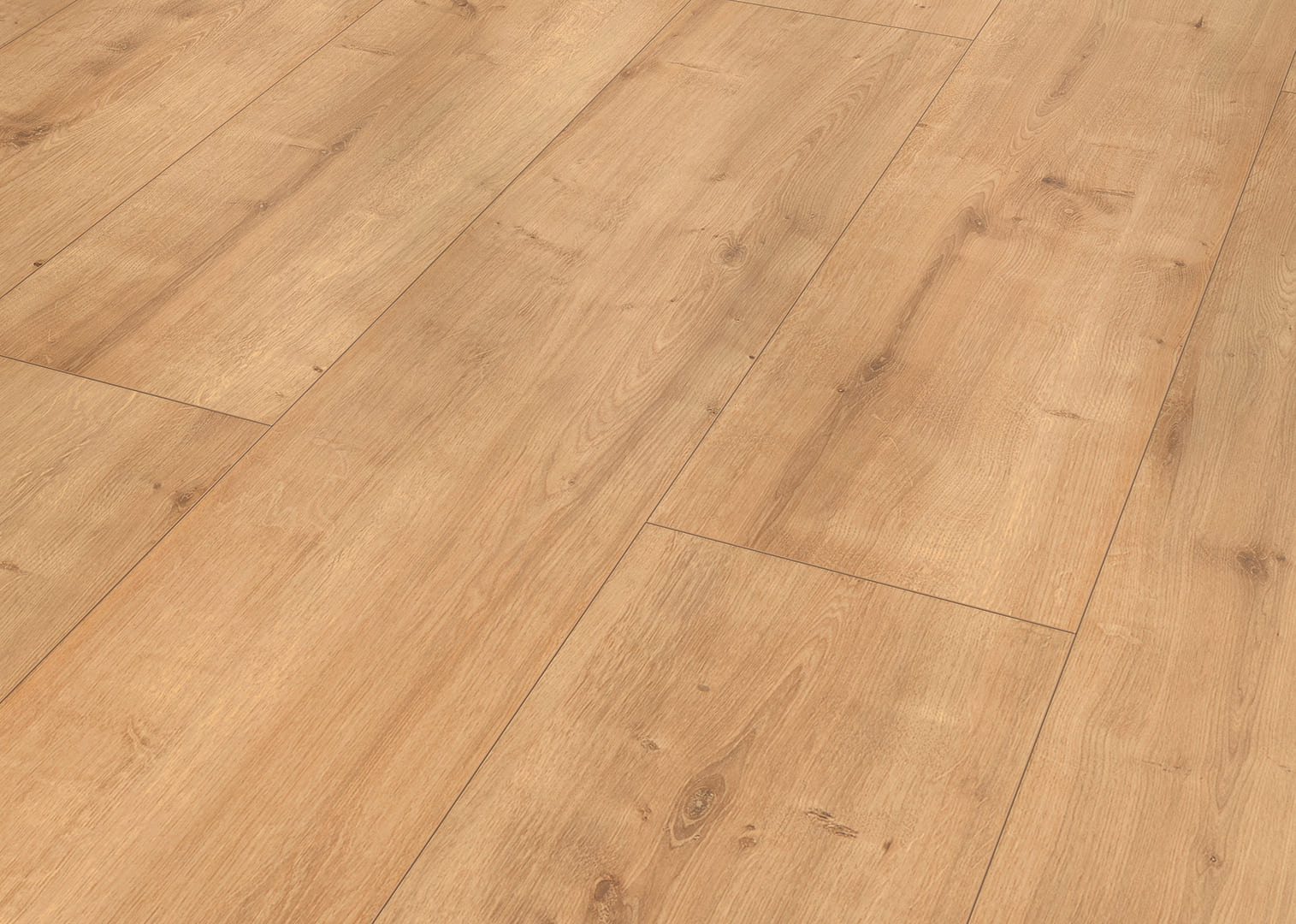 L282 Burling. Oak Nat. POOL